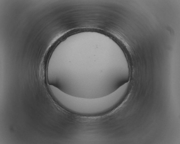 X0000116510925200912292141