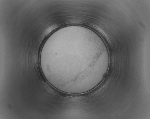 X0000116510930200912292141