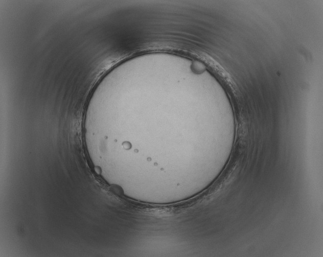 X0000116510937200912292141