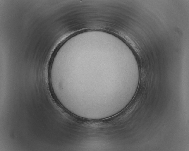 X0000116510939200912292141