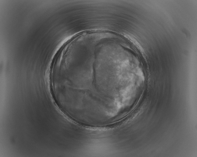 X0000116510941200912292141