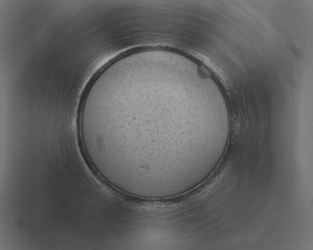 X0000116510943200912292141