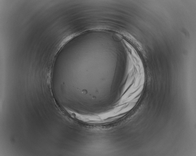 X0000116510945200912292141