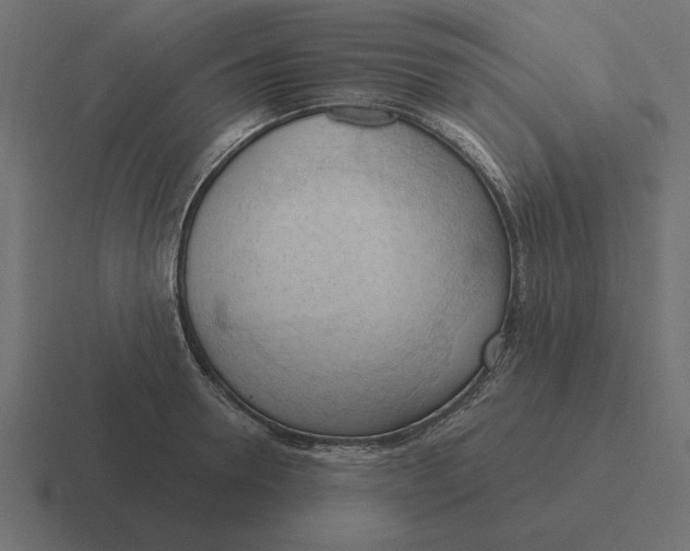 X0000116510946200912292141