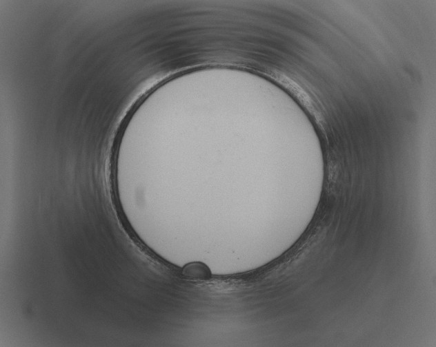 X0000116510947200912292141