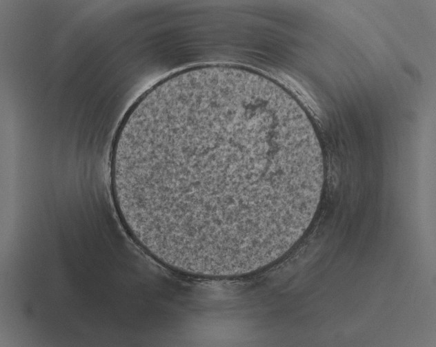 X0000116510950200912292142