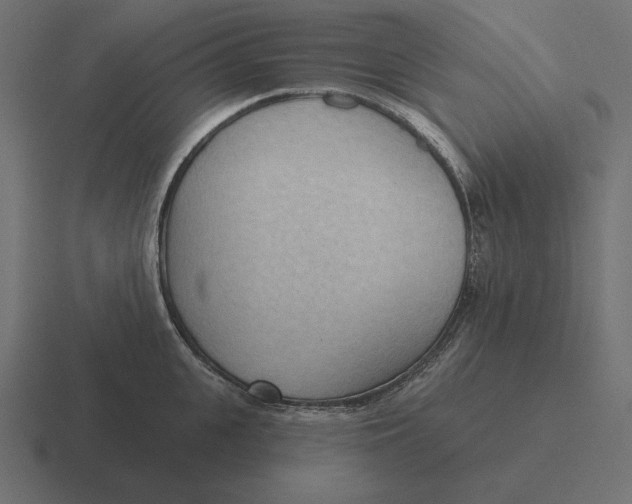 X0000116510951200912292142