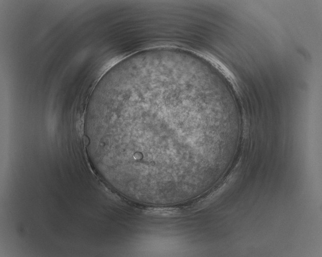 X0000116510953200912292142