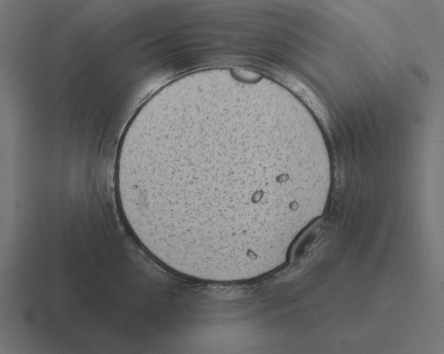 X0000116510954200912292142