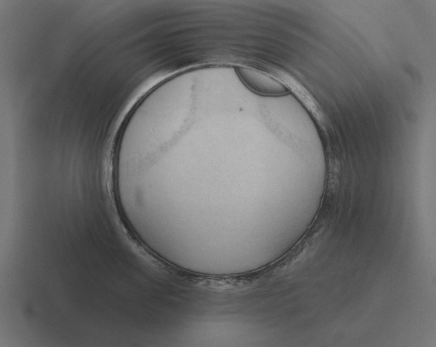 X0000116510955200912292142