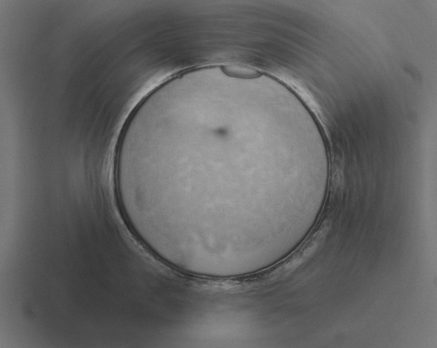 X0000116510957200912292142