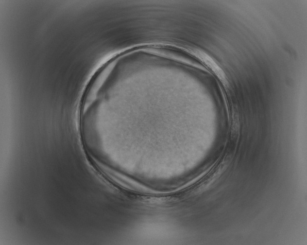 X0000116510958200912292142