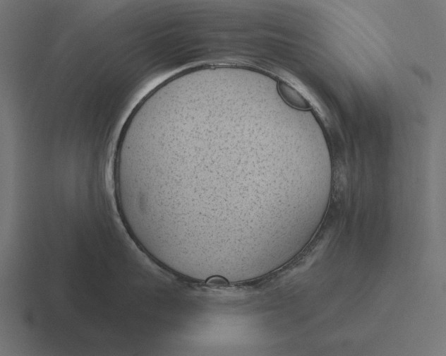 X0000116510959200912292142