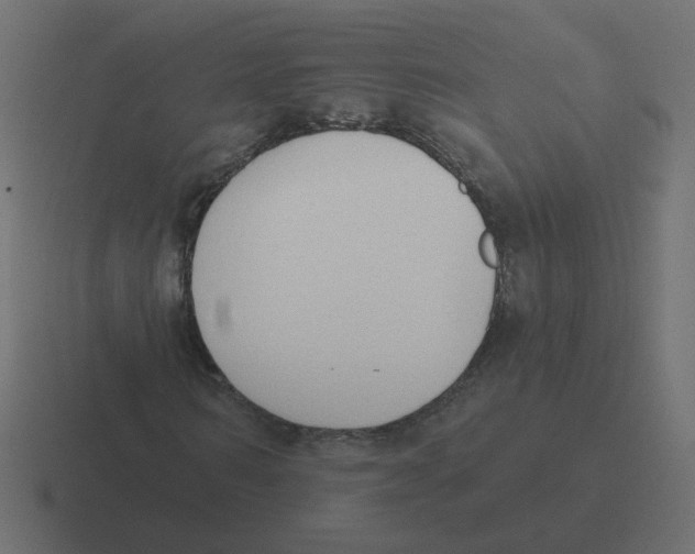 X0000116510962200912292141