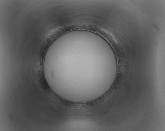 X0000116510966200912292141