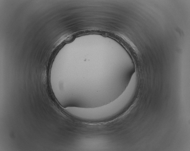 X0000116510969200912292141