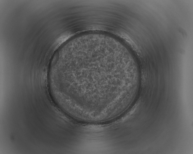 X0000116510977200912292141