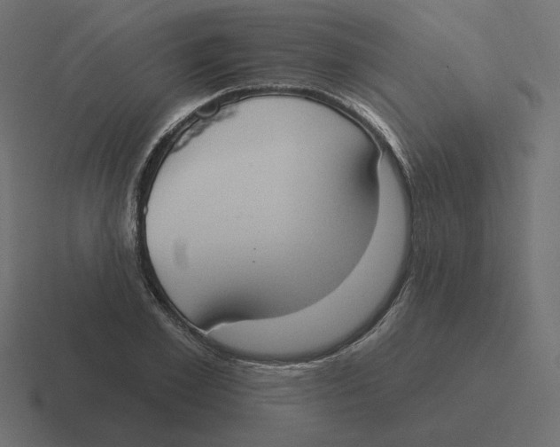 X0000116510981200912292141