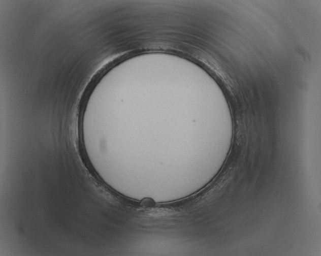 X0000116510984200912292141