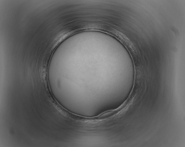 X0000116510985200912292141