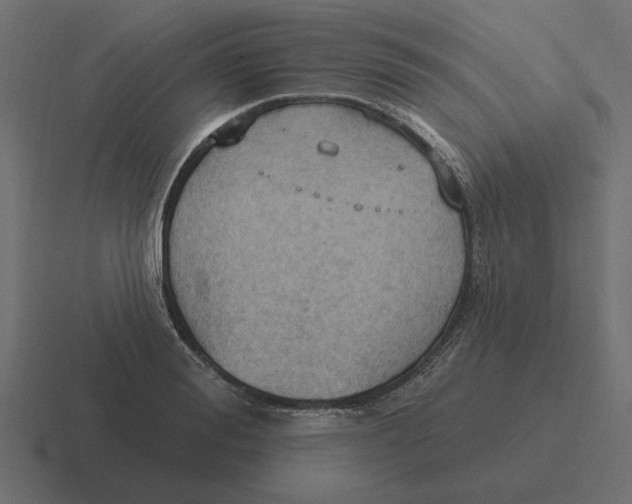 X0000116510988200912292141