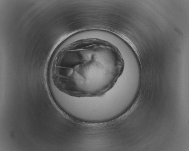 X0000116510989200912292141