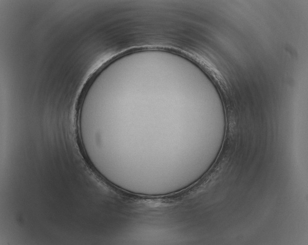 X0000116510990200912292141