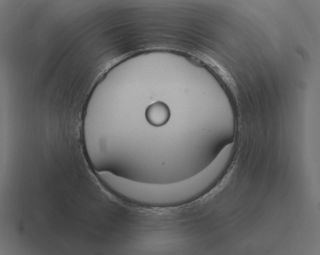 X0000116510993200912292141