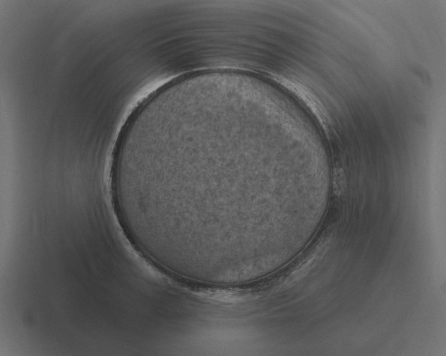 X0000116510995200912292141