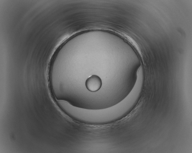 X0000116510997200912292141