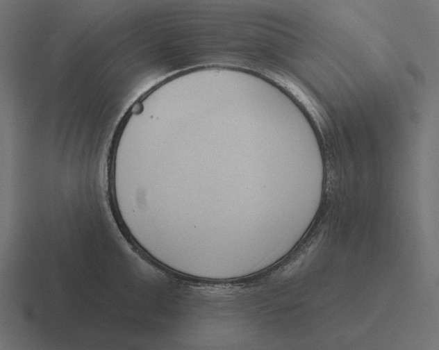 X0000116510999200912292141