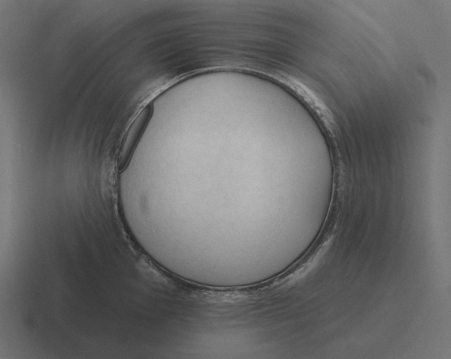 X0000116511001200912292141