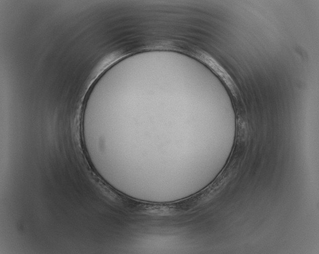 X0000116511002200912292141