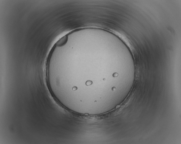 X0000116511003200912292141