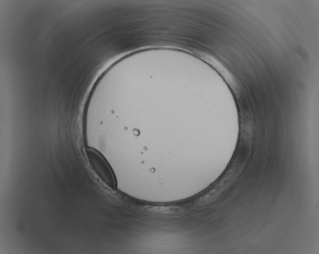 X0000116511004200912292140