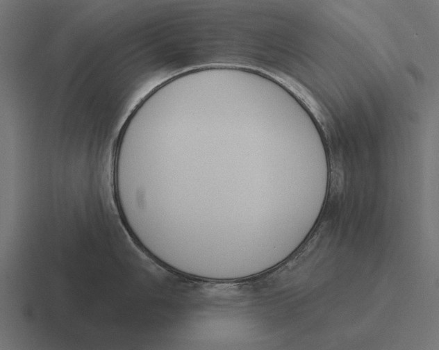 X0000116511006200912292140