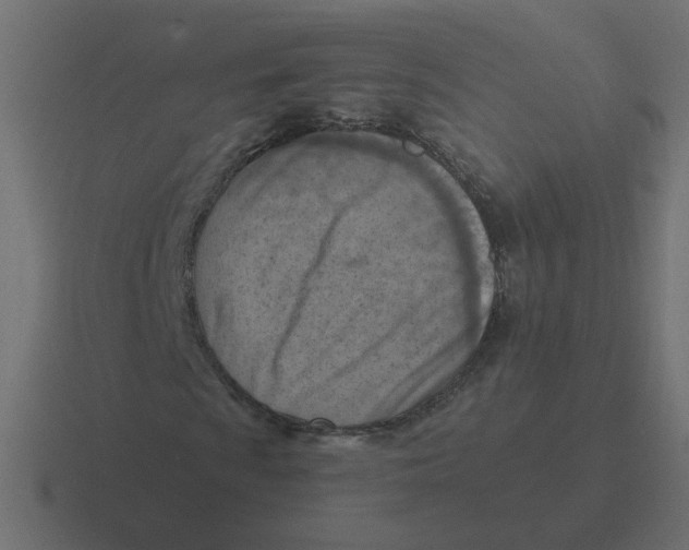 X0000116511009200912292140