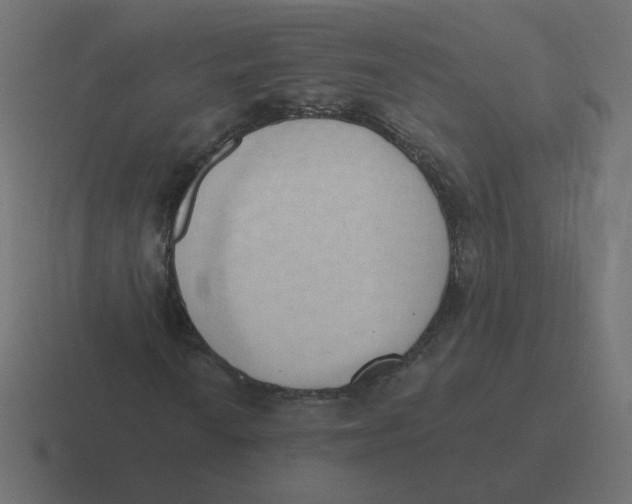 X0000116511010200912292140