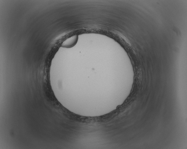 X0000116511016200912292140