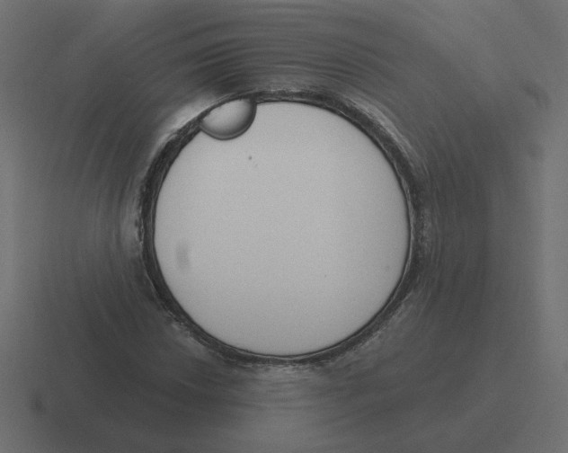 X0000116511018200912292140