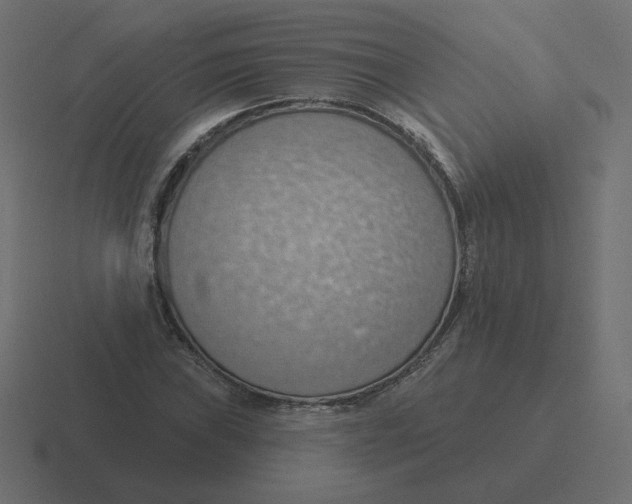 X0000116511019200912292140