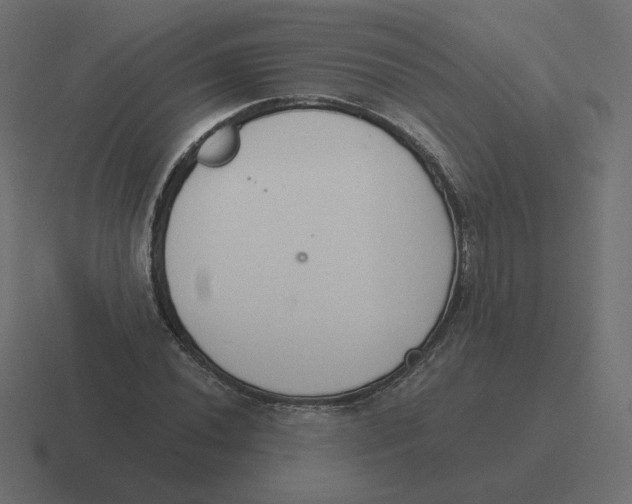 X0000116511020200912292140