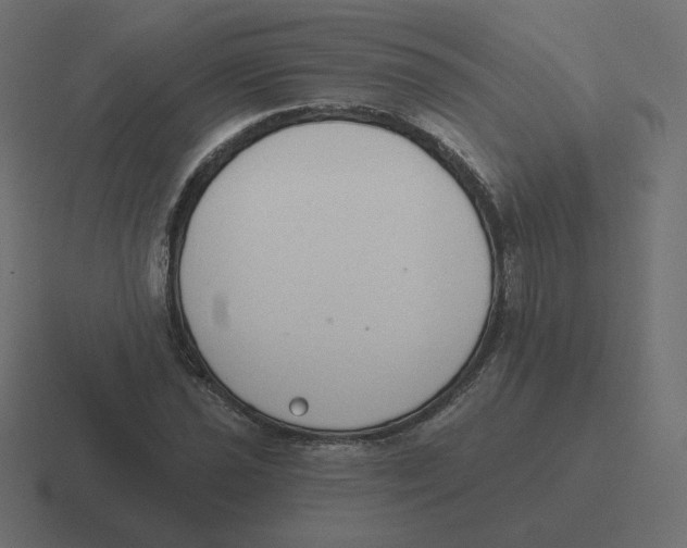 X0000116511021200912292140