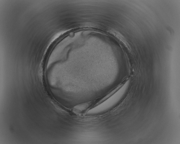 X0000116511024200912292140