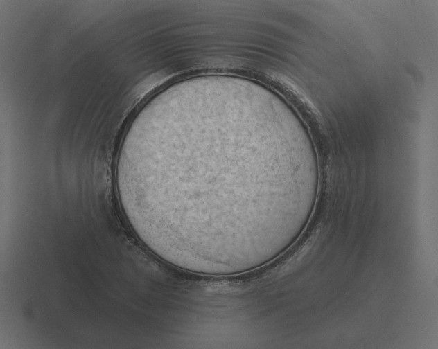 X0000116511025200912292140