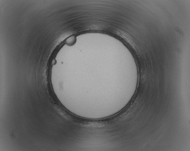 X0000116511026200912292140