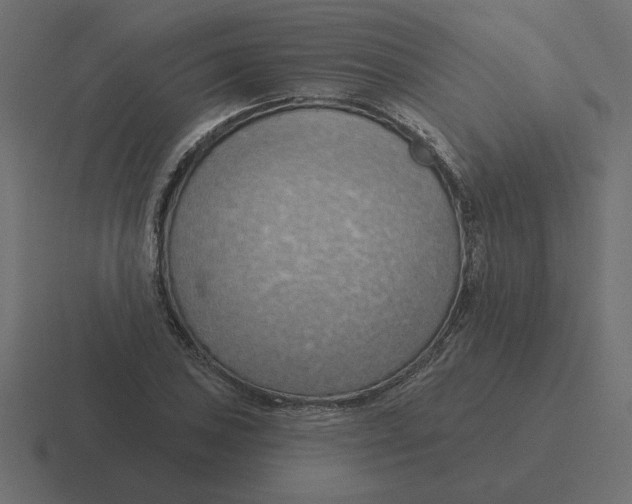 X0000116511027200912292140