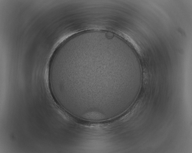 X0000116511035200912292140