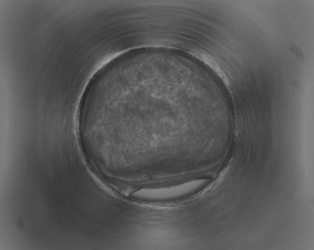 X0000116511037200912292140