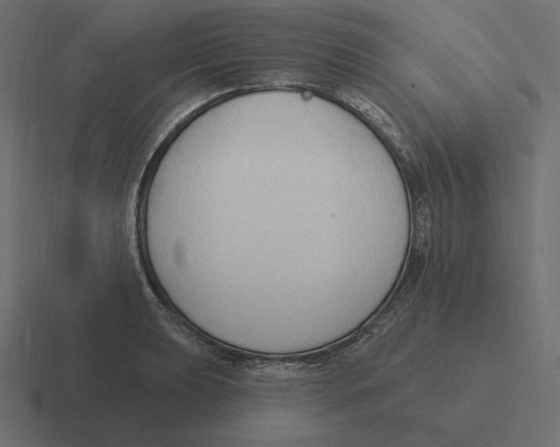 X0000116511039200912292140